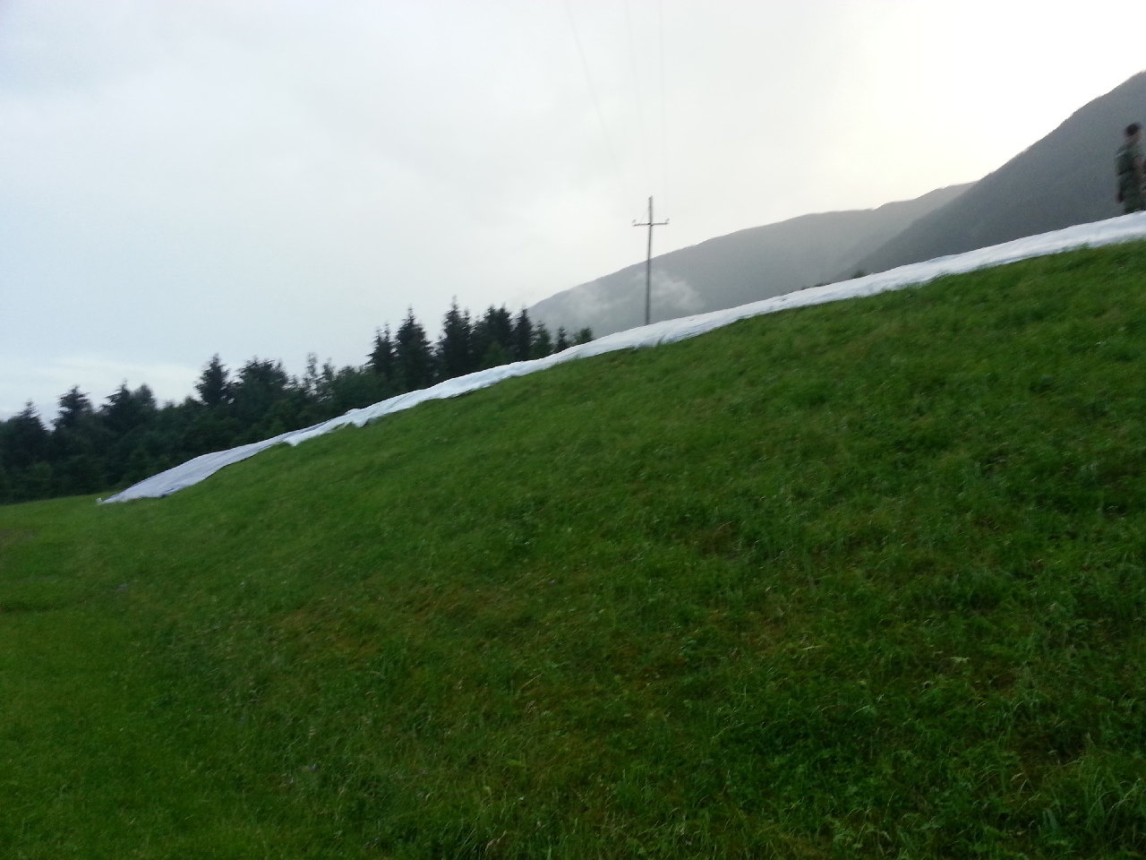 20150608_202639 20150608_202639
