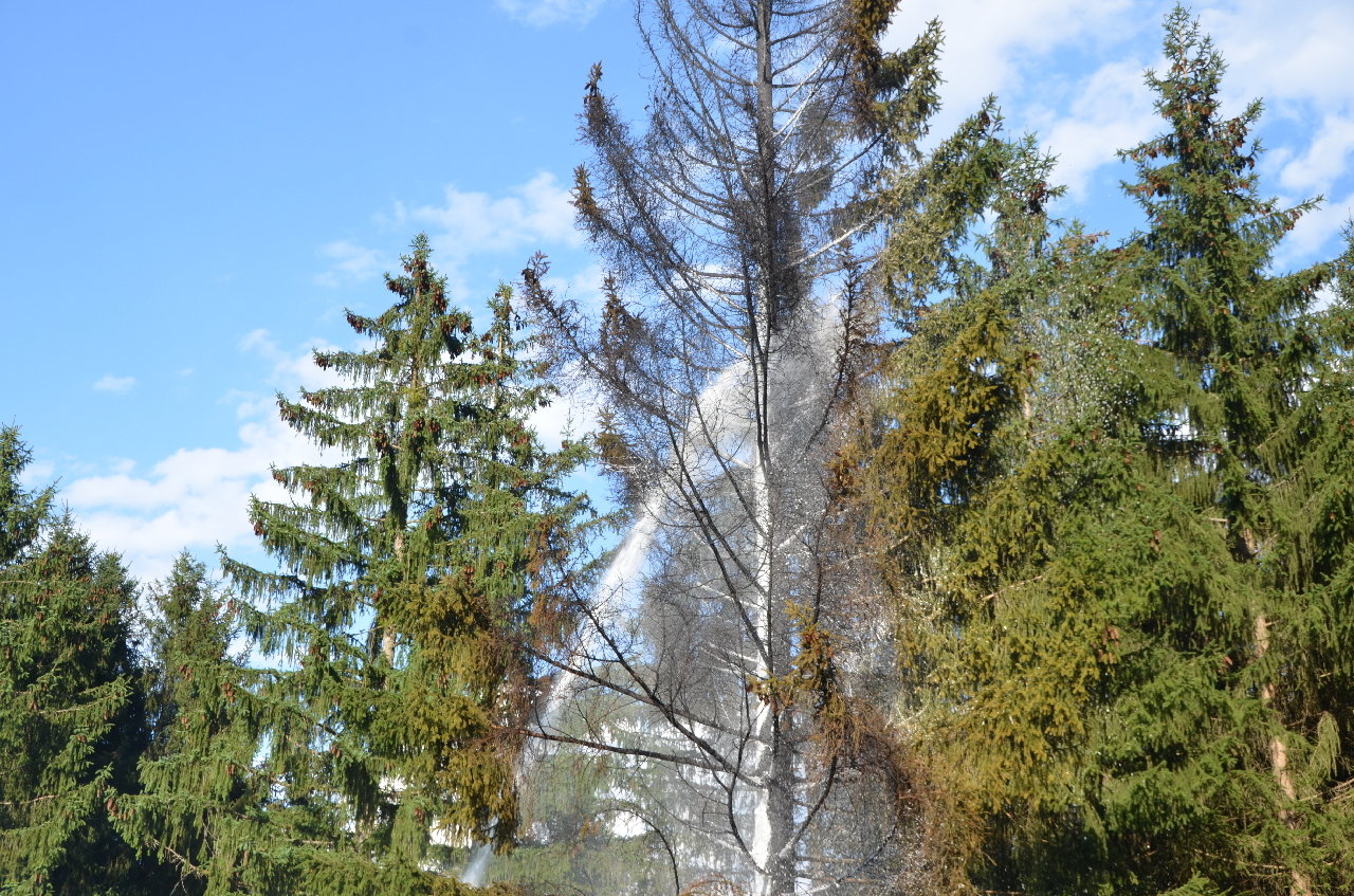 DSC_5373 DSC_5373