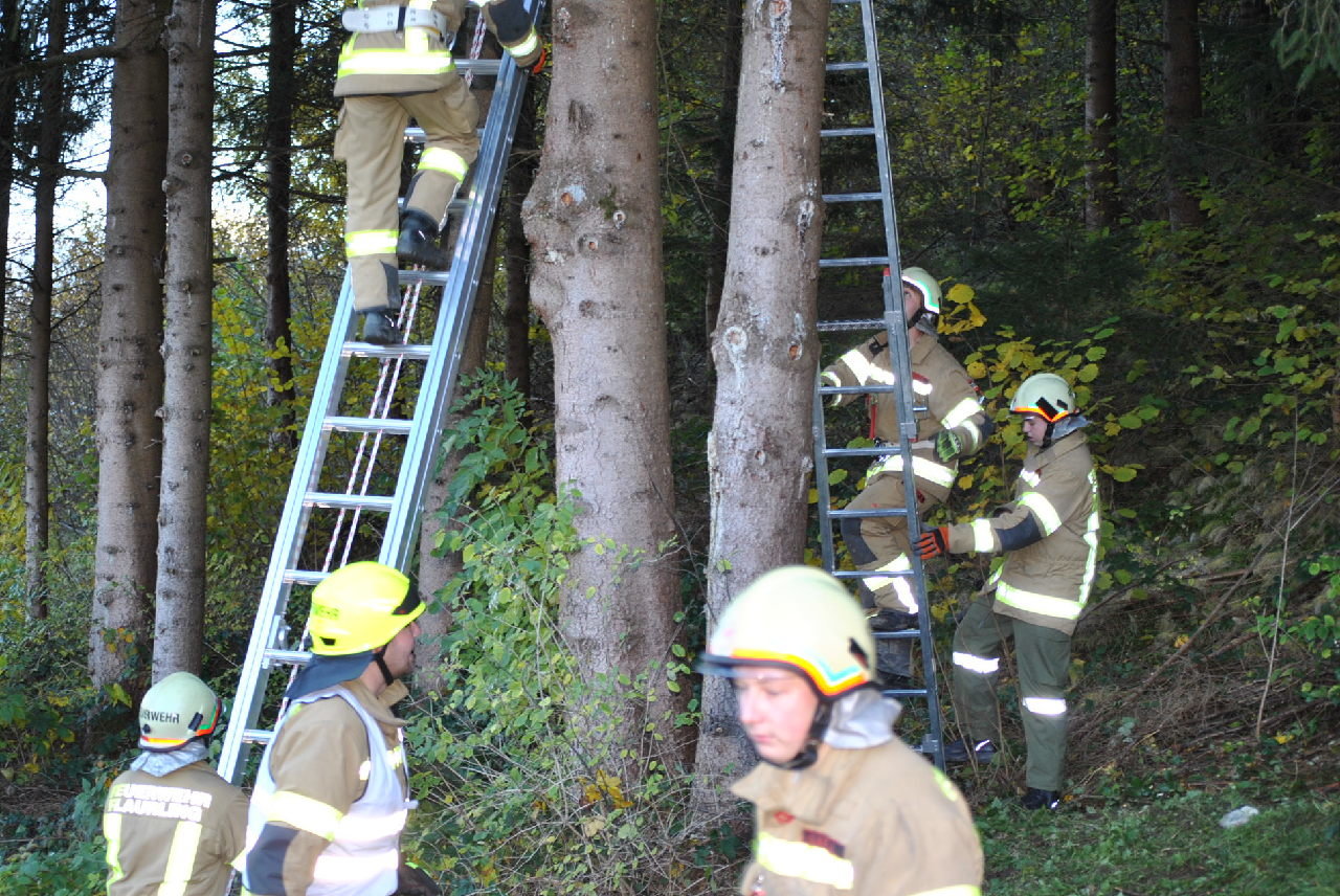 DSC_7004 DSC_7004