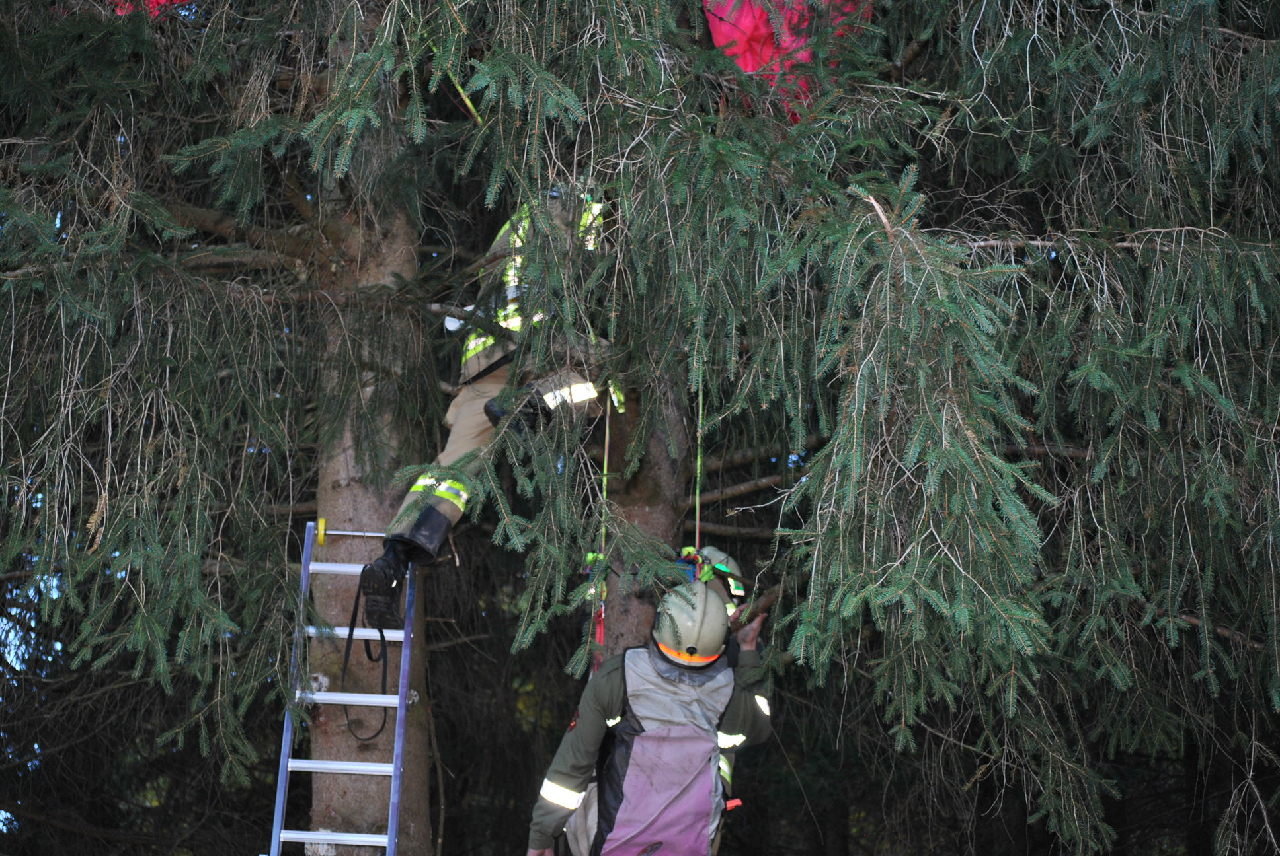 DSC_7005 DSC_7005