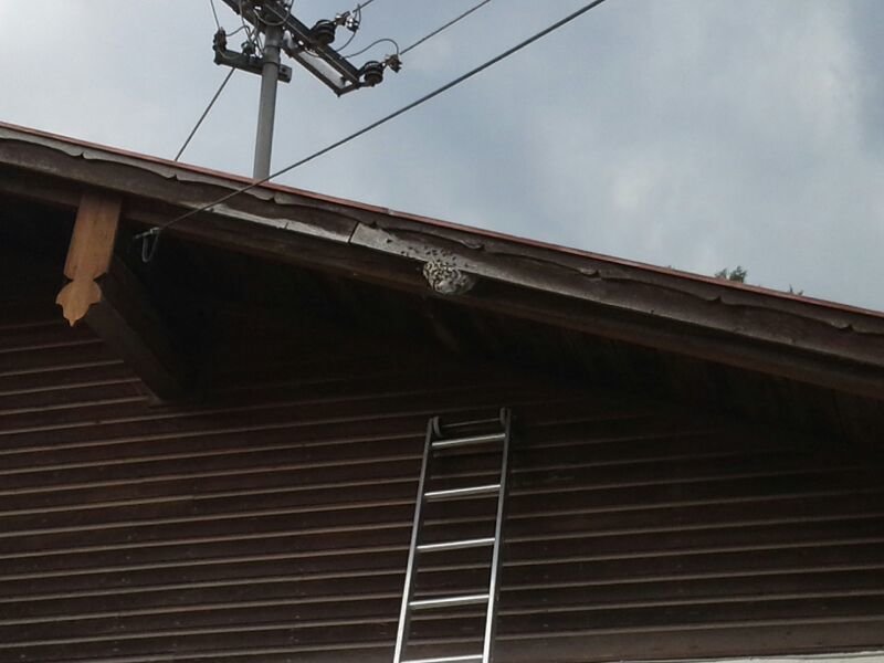 IMG-20130724-WA0006