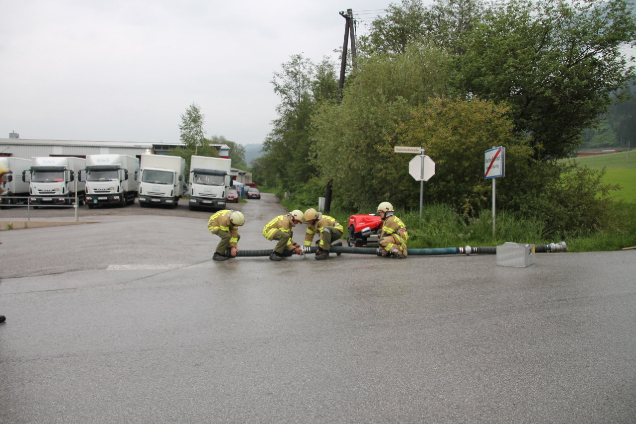 IMG_6375 IMG_6375