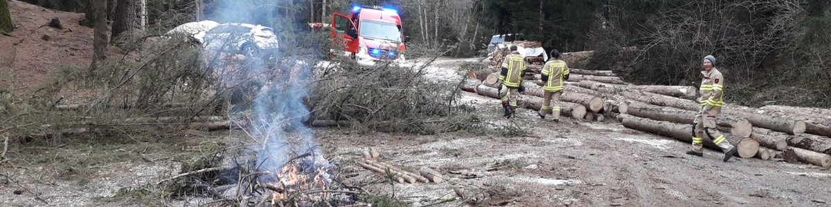 Brand Wald 13.01.2020