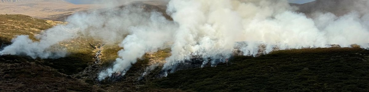 Brand Wald 02.11.24