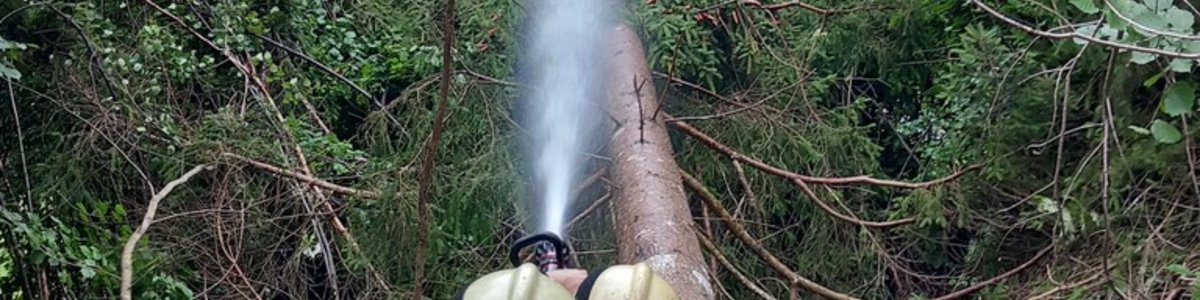 Brand - Baum in Stromleitung 16.07.2025